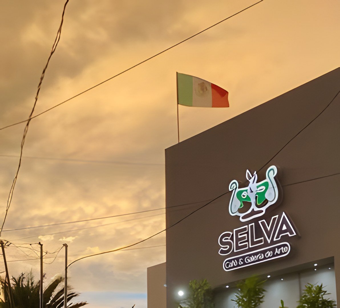 Fachada de Selva Café y Galería de Arte con su letrero encendido